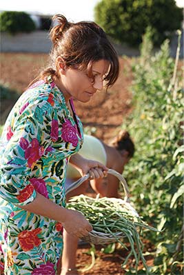 Argiro Barbarigou harvesting her island garden on native Paros, Greece