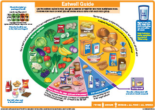 Thumbnail of the UK's new Eatwell Guide