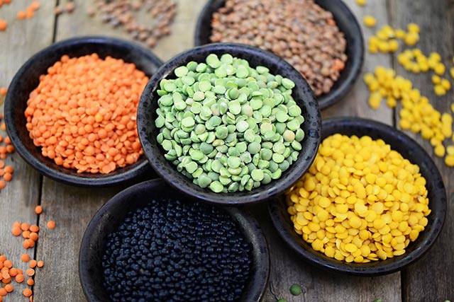 Pulses - An alternative source of protein