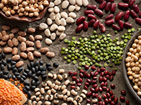 Various groups of different types of pulses