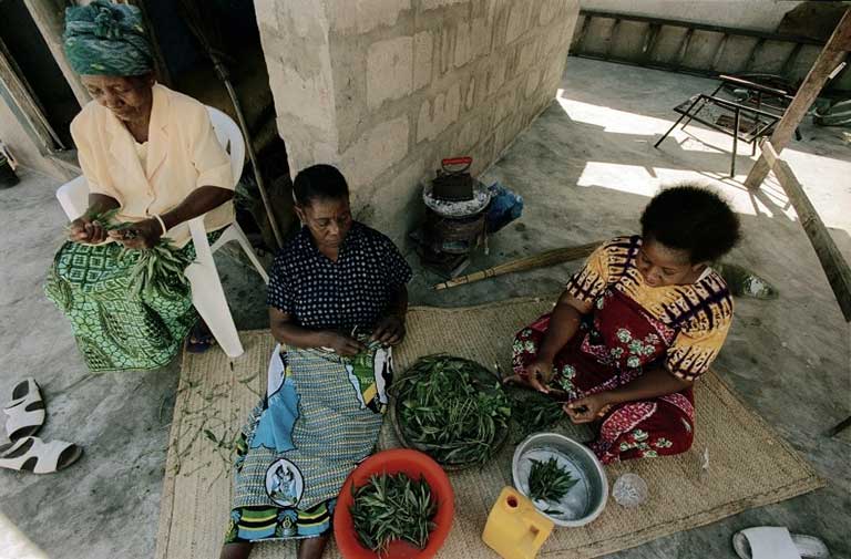 3 women (2 sitting on the ground) in a low-income country sorting legumes into bowls