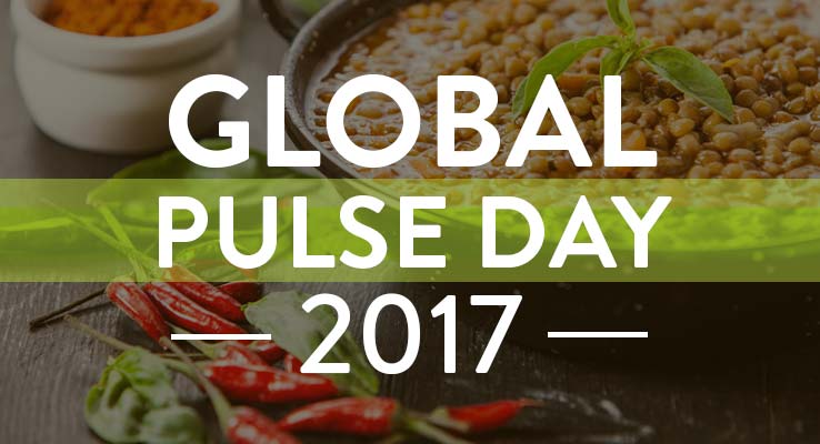 Global Pulse Day 2017