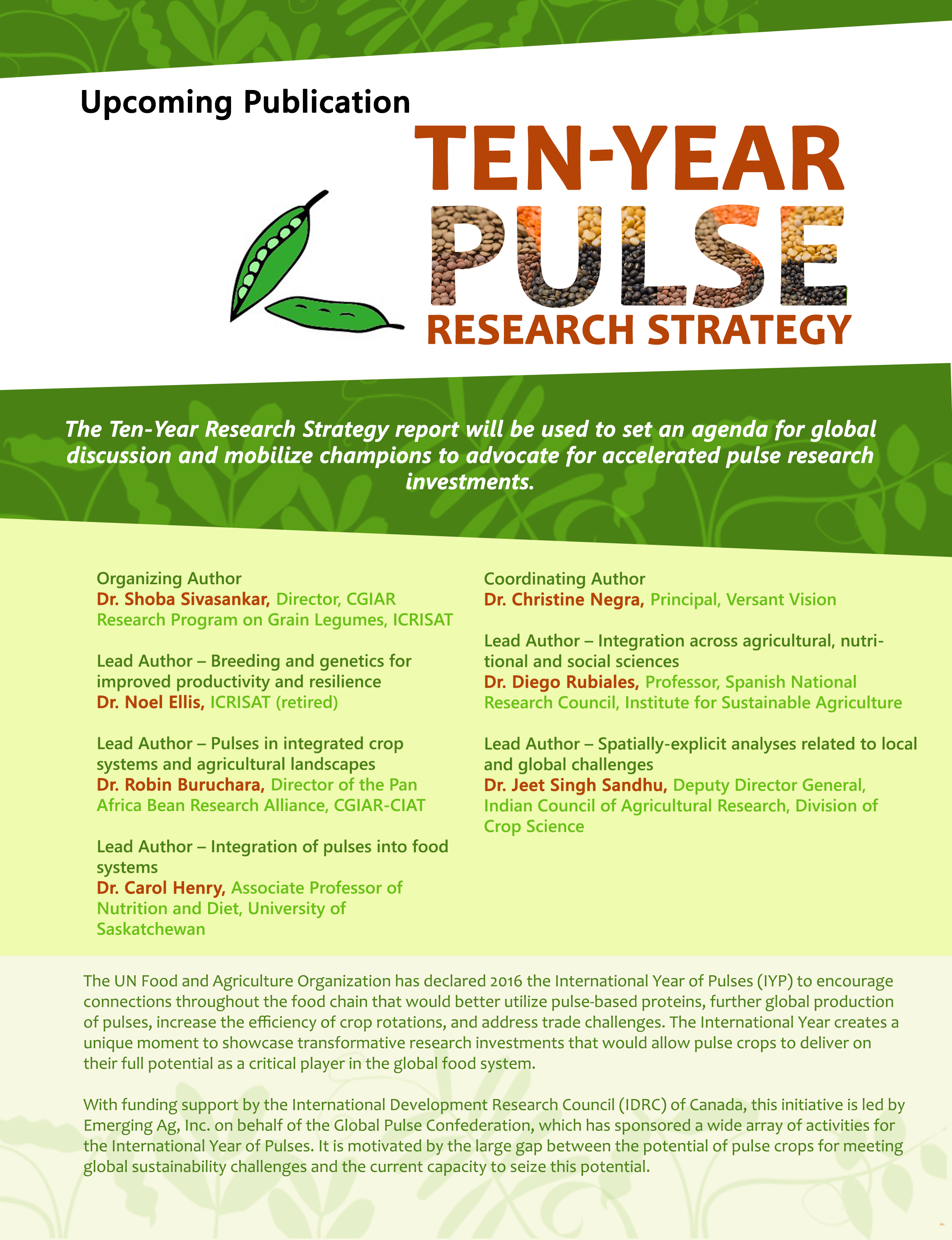 10-Year Research Strategy - Pulses