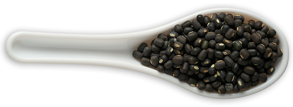 Черный грамм. Black gram. Gram Bean. Black gram without Skin. The dried Edible Seeds of certain Plants in the legume Family.